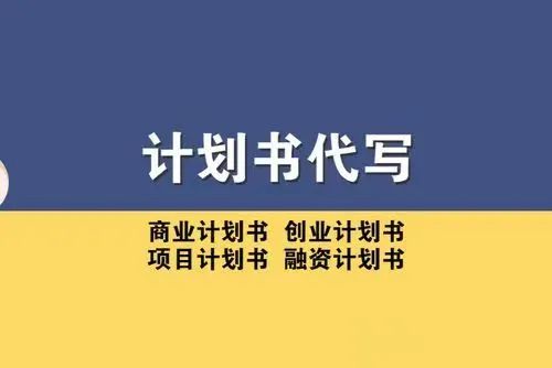 商业计划书品牌策略_商业策划书目录大全_品牌策划项目商业计划书