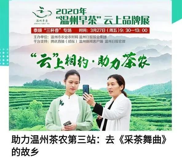 茶品牌策划_茶叶品牌营销策划经典案例_茶业策划